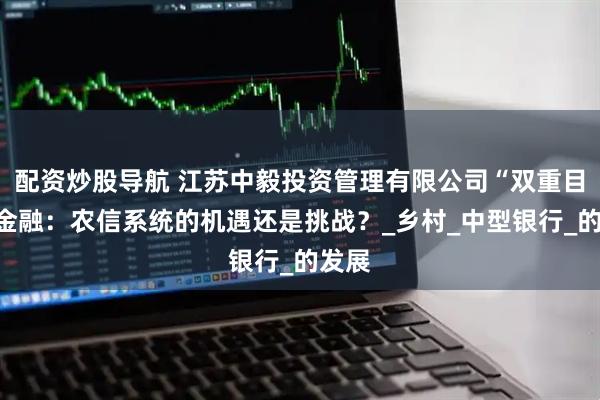 配资炒股导航 江苏中毅投资管理有限公司“双重目标”金融：农信系统的机遇还是挑战？_乡村_中型银行_的发展